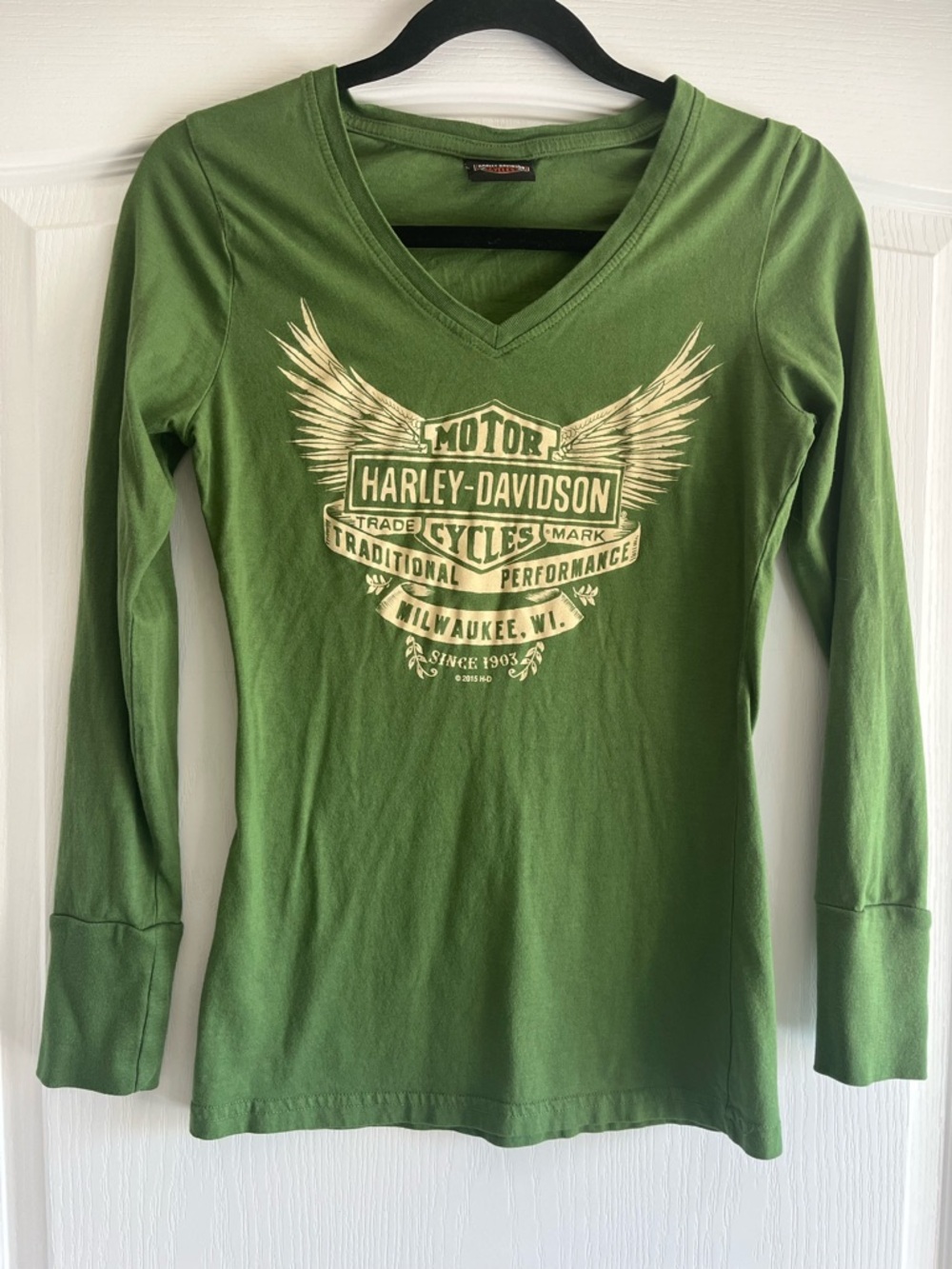 Harley-Davidson Wings Graphic Long Sleeve V-Neck Tee - Sage Green